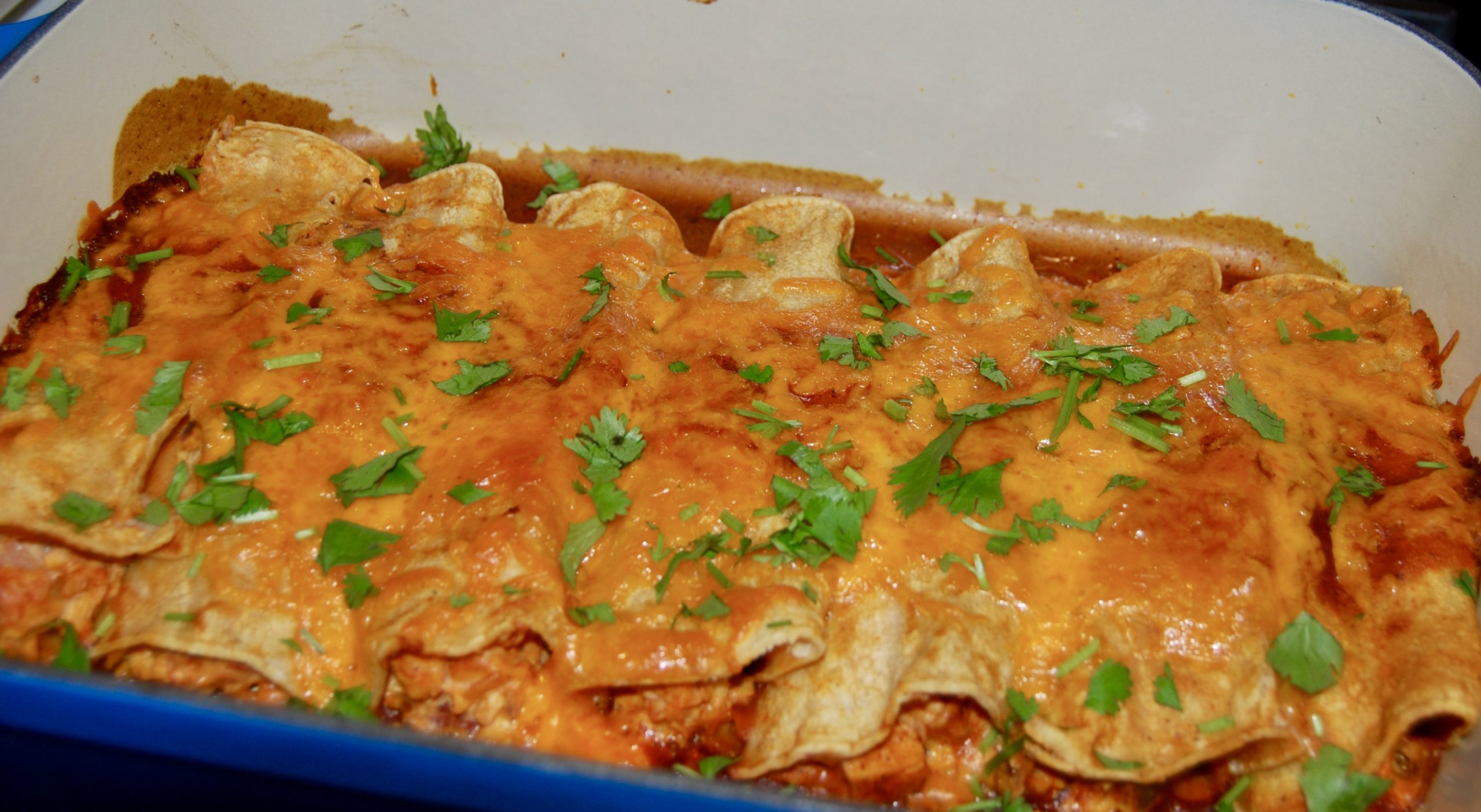 Chicken/Turkey Enchiladas